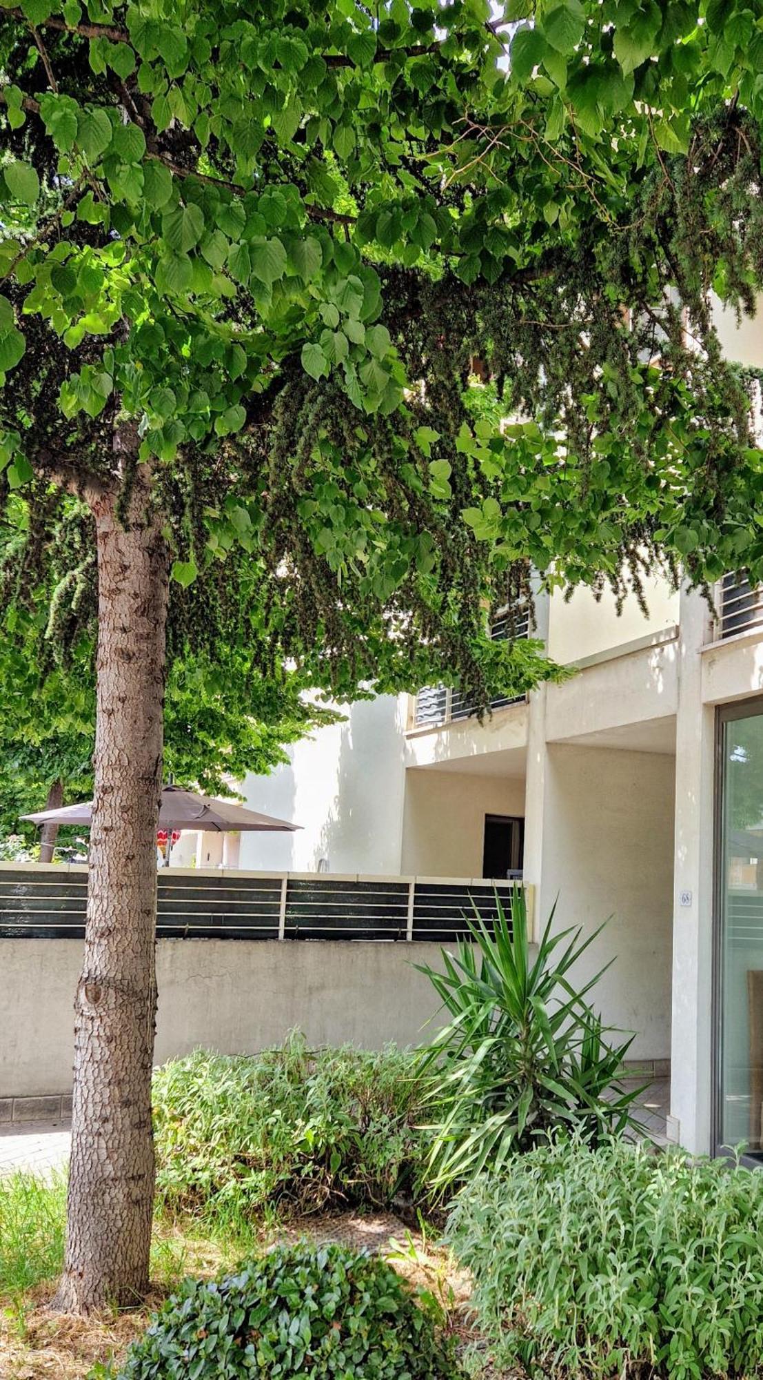 Dolcenido Meyer Firenze Apartment Ngoại thất bức ảnh